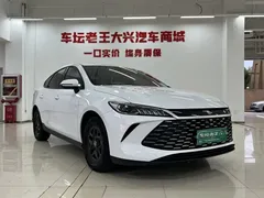 2025 BYD Seal 05 PLUS DM-i 55KM, белый — фото 2