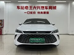 2025 BYD Seal 05 PLUS DM-i 55KM, белый — фото 3