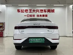2025 BYD Seal 05 PLUS DM-i 55KM, белый — фото 5