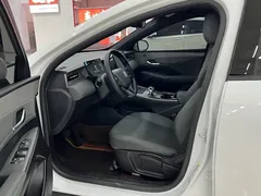2025 BYD Seal 05 PLUS DM-i 55KM, белый — фото 7