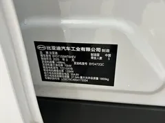 2025 BYD Seal 05 PLUS DM-i 55KM, белый — фото 18
