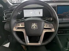 2025 BYD Qin L 80KM — фото 11