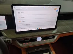 2022 Tank 500 3.0T 5, белый — фото 13