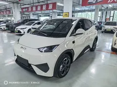 2025 BYD Seagull Smart Driving 305km Freedom, белый — фото 1