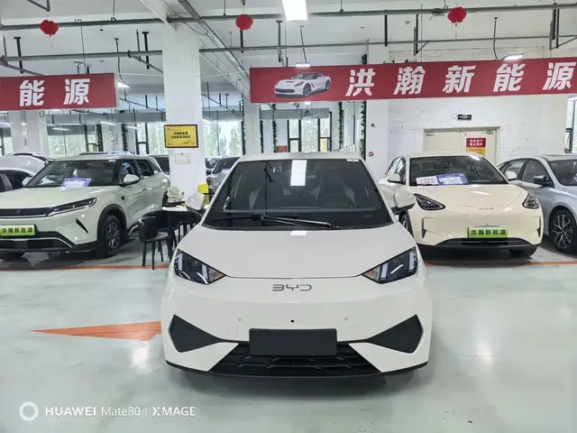 2025 BYD Seagull Smart Driving 305km Freedom