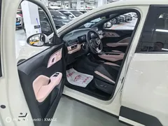 2025 BYD Seagull Smart Driving 305km Freedom, белый — фото 8