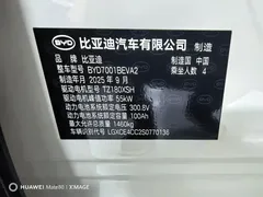 2025 BYD Seagull Smart Driving 305km Freedom, белый — фото 11