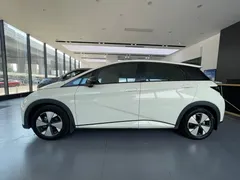 2023 BYD Dolphin 420km Freedom — фото 4