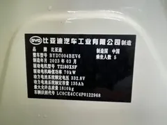 2023 BYD Dolphin 420km Freedom — фото 18