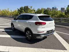 2021 Haval H6 1.5T AT, белый — фото 8