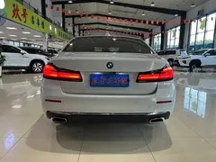 2021 BMW 5 Series 530Li, белый — фото 7