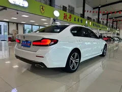 2021 BMW 5 Series 530Li, белый — фото 8