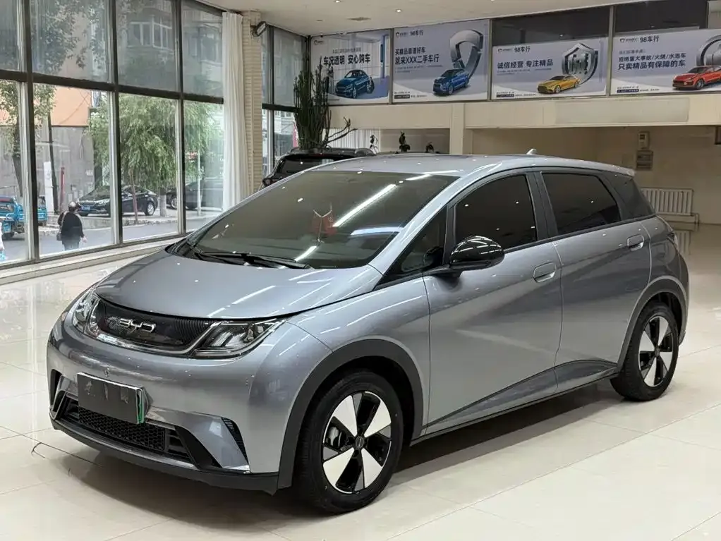 2023 BYD 420km