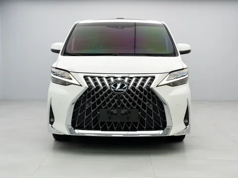 2020 Lexus LM 300h