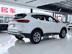 2021 Haval H6 1.5GDIT AT, белый — фото 11