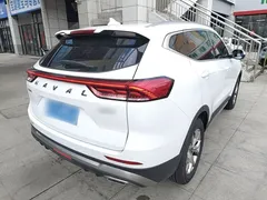 2021 Haval H6 1.5GDIT AT, белый — фото 7