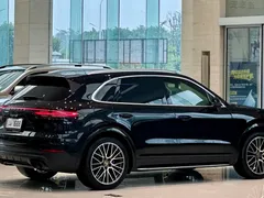 2022 Porsche Cayenne 3.0T Platinum, чёрный — фото 14