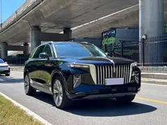 2021 Hongqi E-HS9 460km, чёрный — фото 3