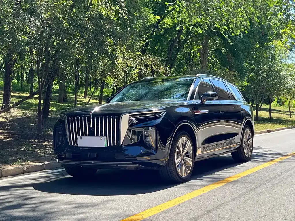 2022 Hongqi E-HS9 690km