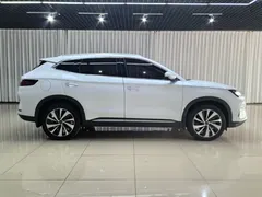 2023 BYD Song PLUS Champion EV 520km Premium, белый — фото 7