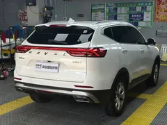 2021 Haval H6 1.5T AT, белый — фото 6