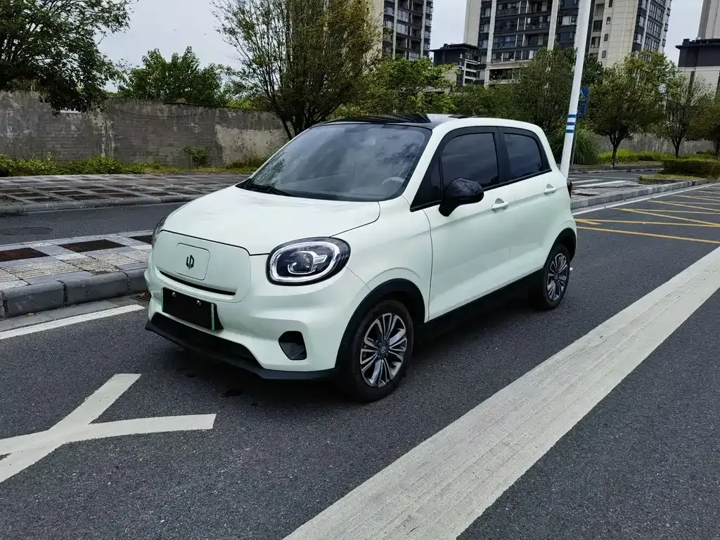 2024 Leapmotor T03 310