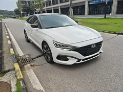 2021 Hyundai Lafesta 280TGDi DLX Luxury, белый — фото 2