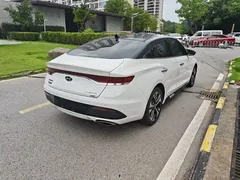 2021 Hyundai Lafesta 280TGDi DLX Luxury, белый — фото 7