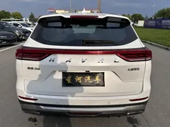 2023 Haval H6 1.5T AT Guochao Champion, белый — фото 11
