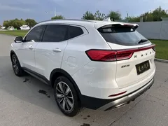 2023 Haval H6 1.5T AT Guochao Champion, белый — фото 12