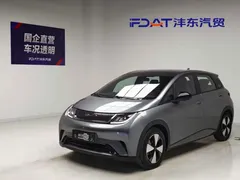 2023 BYD Dolphin 420km Fashion — фото 1