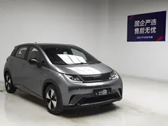 2023 BYD Dolphin 420km Fashion — фото 3