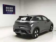 2023 BYD Dolphin 420km Fashion — фото 4