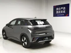 2023 BYD Dolphin 420km Fashion — фото 6