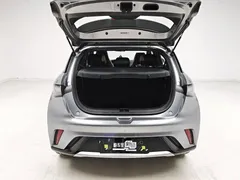 2023 BYD Dolphin 420km Fashion — фото 10