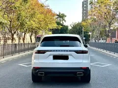 2023 Porsche Cayenne E-Hybrid 2.0T PHEV Platinum, белый — фото 8
