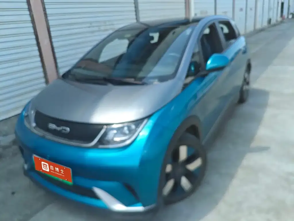 2021 BYD Dolphin EV 401km Knight Edition