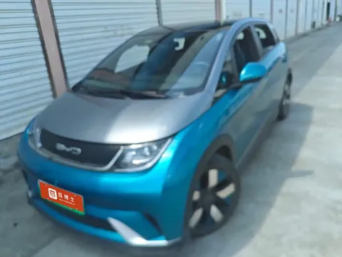 2021 BYD Dolphin EV 401km Knight Edition