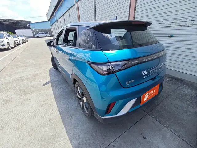 2021 BYD Dolphin EV 401km Knight Edition