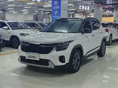 2023 Kia Seltos 1.5L CVT Luxury, белый — фото 1
