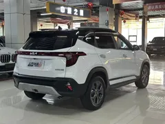 2023 Kia Seltos 1.5L CVT Luxury, белый — фото 9