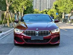 2019 BMW 8 Series 8 840i M — фото 2