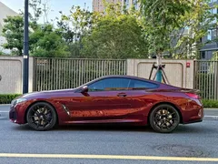 2019 BMW 8 Series 8 840i M — фото 3