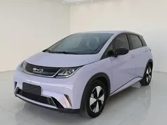 2024 BYD Dolphin Honor 420km Fashion — фото 1