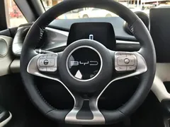 2024 BYD Dolphin Honor 420km Fashion — фото 8