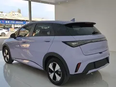 2024 BYD Dolphin Honor 420km Fashion — фото 13