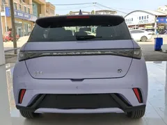 2024 BYD Dolphin Honor 420km Fashion — фото 14