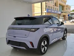 2024 BYD Dolphin Honor 420km Fashion — фото 15