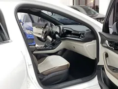 2023 BYD Qin PLUS 55KM, белый — фото 6