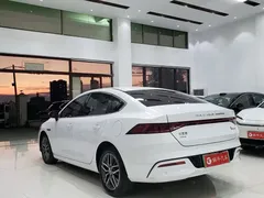 2023 BYD Qin PLUS 55KM, белый — фото 9